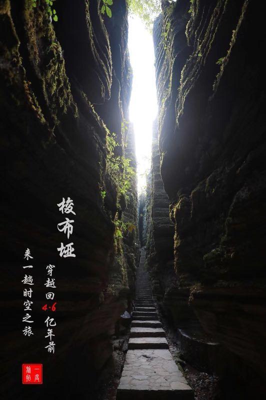 影子忍者传说